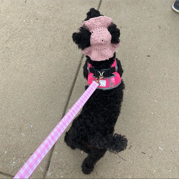 Crochet cat or small dog hat! 🥰 - Picture 2 of 5